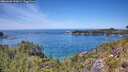 ./images/calvert/foggy-cove/20260602/foggy-cove20260602_133001M.jpg