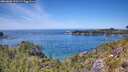 ./images/calvert/foggy-cove/20260602/foggy-cove20260602_133501M.jpg