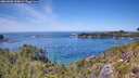 ./images/calvert/foggy-cove/20260602/foggy-cove20260602_134001M.jpg