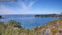 ./images/calvert/foggy-cove/20260602/foggy-cove20260602_140001M.jpg