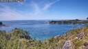 ./images/calvert/foggy-cove/20260602/foggy-cove20260602_140502M.jpg