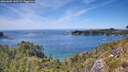 ./images/calvert/foggy-cove/20260602/foggy-cove20260602_142501M.jpg