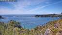 ./images/calvert/foggy-cove/20260602/foggy-cove20260602_144002M.jpg