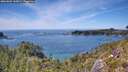 ./images/calvert/foggy-cove/20260602/foggy-cove20260602_145001M.jpg