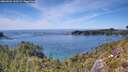 ./images/calvert/foggy-cove/20260602/foggy-cove20260602_145501M.jpg