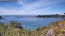 ./images/calvert/foggy-cove/20260602/foggy-cove20260602_150001M.jpg