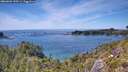 ./images/calvert/foggy-cove/20260602/foggy-cove20260602_150501M.jpg