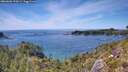 ./images/calvert/foggy-cove/20260602/foggy-cove20260602_151001M.jpg