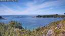 ./images/calvert/foggy-cove/20260602/foggy-cove20260602_151501M.jpg