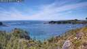 ./images/calvert/foggy-cove/20260602/foggy-cove20260602_152501M.jpg