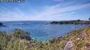 ./images/calvert/foggy-cove/20260602/foggy-cove20260602_153001M.jpg
