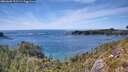 ./images/calvert/foggy-cove/20260602/foggy-cove20260602_153501M.jpg