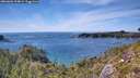 ./images/calvert/foggy-cove/20260602/foggy-cove20260602_154001M.jpg
