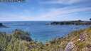 ./images/calvert/foggy-cove/20260602/foggy-cove20260602_154501M.jpg
