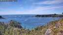 ./images/calvert/foggy-cove/20260602/foggy-cove20260602_155501M.jpg