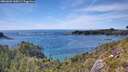 ./images/calvert/foggy-cove/20260602/foggy-cove20260602_160501M.jpg