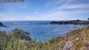 ./images/calvert/foggy-cove/20260602/foggy-cove20260602_161001M.jpg