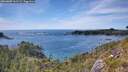 ./images/calvert/foggy-cove/20260602/foggy-cove20260602_161501M.jpg