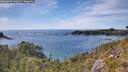 ./images/calvert/foggy-cove/20260602/foggy-cove20260602_162001M.jpg