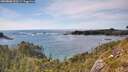 ./images/calvert/foggy-cove/20260602/foggy-cove20260602_170501M.jpg