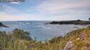 ./images/calvert/foggy-cove/20260602/foggy-cove20260602_171002M.jpg