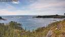 ./images/calvert/foggy-cove/20260602/foggy-cove20260602_171501M.jpg