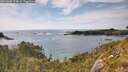 ./images/calvert/foggy-cove/20260602/foggy-cove20260602_174002M.jpg
