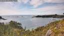 ./images/calvert/foggy-cove/20260602/foggy-cove20260602_174501M.jpg
