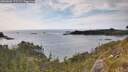 ./images/calvert/foggy-cove/20260602/foggy-cove20260602_175501M.jpg