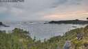 ./images/calvert/foggy-cove/20260603/foggy-cove20260603_053501M.jpg
