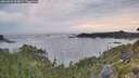 ./images/calvert/foggy-cove/20260603/foggy-cove20260603_054001M.jpg