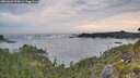 ./images/calvert/foggy-cove/20260603/foggy-cove20260603_054501M.jpg