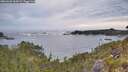 ./images/calvert/foggy-cove/20260603/foggy-cove20260603_060002M.jpg