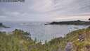 ./images/calvert/foggy-cove/20260603/foggy-cove20260603_061001M.jpg