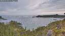 ./images/calvert/foggy-cove/20260603/foggy-cove20260603_061501M.jpg