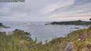 ./images/calvert/foggy-cove/20260603/foggy-cove20260603_062001M.jpg