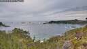 ./images/calvert/foggy-cove/20260603/foggy-cove20260603_063501M.jpg