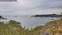 ./images/calvert/foggy-cove/20260603/foggy-cove20260603_064001M.jpg