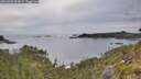 ./images/calvert/foggy-cove/20260603/foggy-cove20260603_065002M.jpg