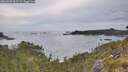 ./images/calvert/foggy-cove/20260603/foggy-cove20260603_065501M.jpg