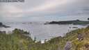 ./images/calvert/foggy-cove/20260603/foggy-cove20260603_070002M.jpg