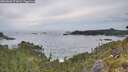./images/calvert/foggy-cove/20260603/foggy-cove20260603_071001M.jpg