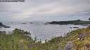 ./images/calvert/foggy-cove/20260603/foggy-cove20260603_071501M.jpg