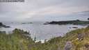 ./images/calvert/foggy-cove/20260603/foggy-cove20260603_072001M.jpg