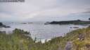 ./images/calvert/foggy-cove/20260603/foggy-cove20260603_072502M.jpg