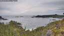 ./images/calvert/foggy-cove/20260603/foggy-cove20260603_073001M.jpg