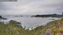 ./images/calvert/foggy-cove/20260603/foggy-cove20260603_073501M.jpg