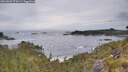 ./images/calvert/foggy-cove/20260603/foggy-cove20260603_074501M.jpg