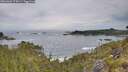 ./images/calvert/foggy-cove/20260603/foggy-cove20260603_075001M.jpg