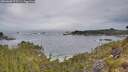 ./images/calvert/foggy-cove/20260603/foggy-cove20260603_075501M.jpg